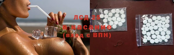 прущие крисы Аркадак