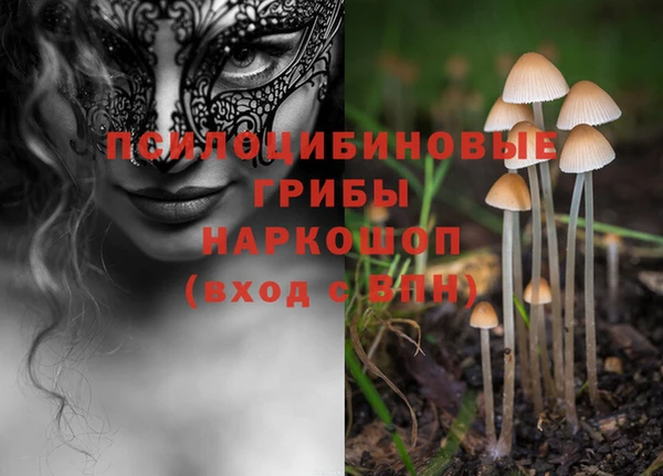 Альфа ПВП Арсеньев
