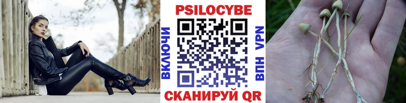 Галлюциногенные грибы Psilocybe Спасск-Рязанский